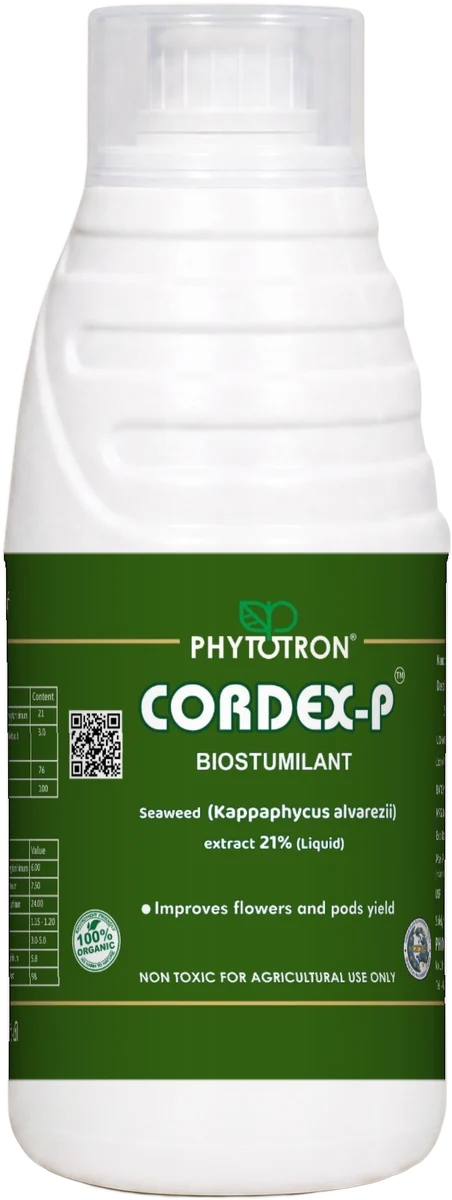 Cordex-P pack