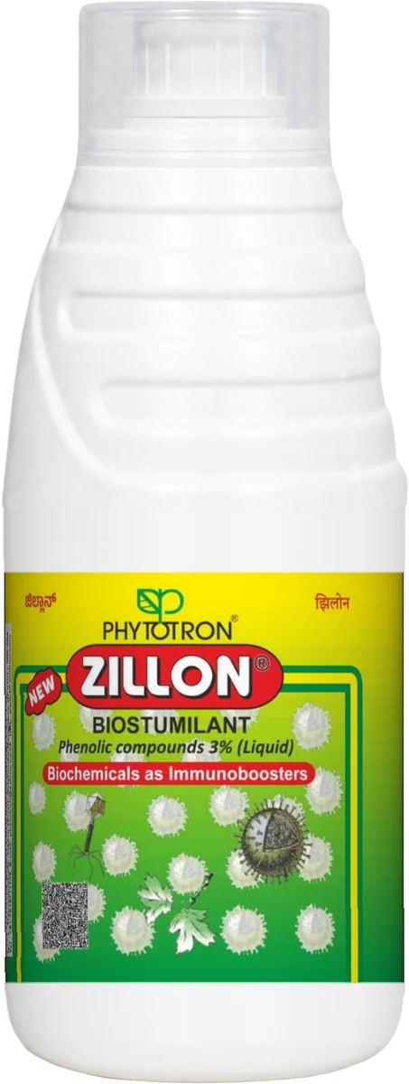 Zillon pack